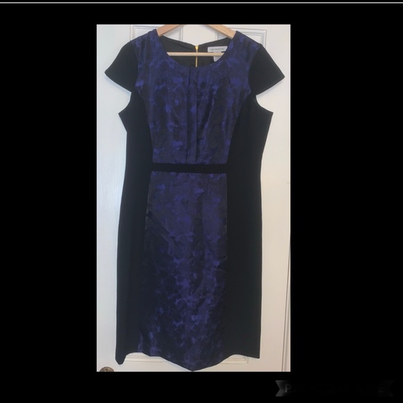 Liz Claiborne Sheath Dress Black with Spectrum Blue Purple - Picture 4 of 4
